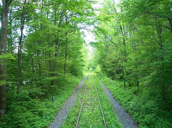 Catskill Mountain Railroad - old roadbed -