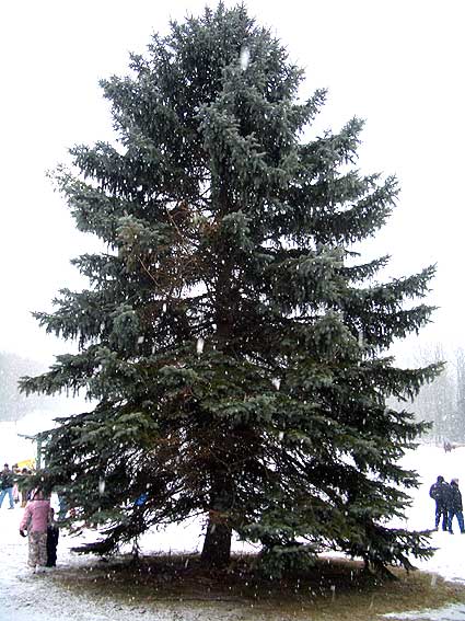 Ellenville, New York, December 31, 2005