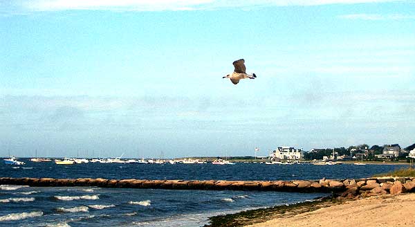 Cape Cod at the end of Sea Street in Hyannis, 2005