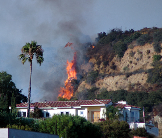 Nichols Canyon fire, August 9, 2005