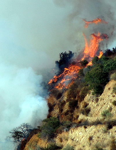 Nichols Canyon fire, August 9, 2005