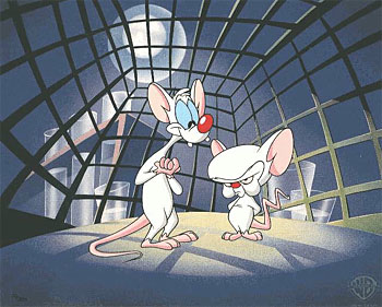 Pinky and the Brain