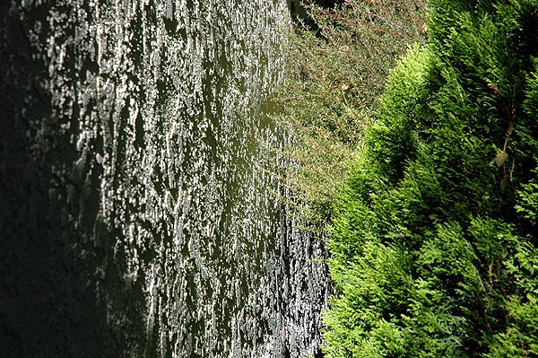 A stucco wall you don't want to bush against...