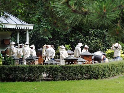 Paris beekeepers...