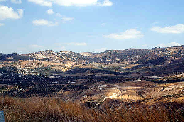 The Golan Heights 