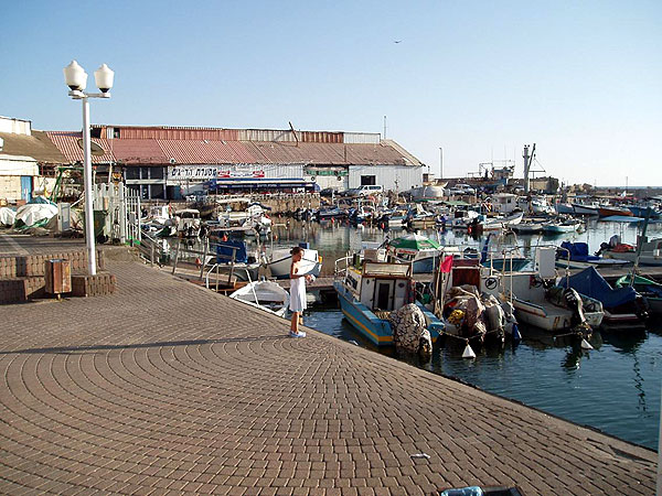 Jaffa harbor and its few fishing boats - 