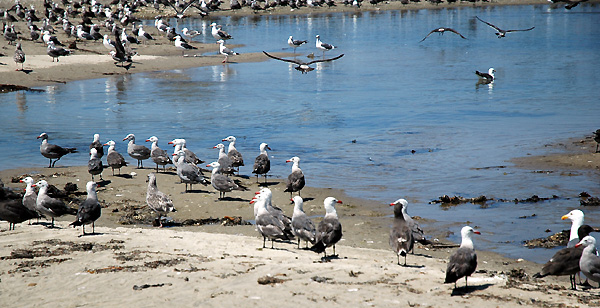 Malibu - July 2005