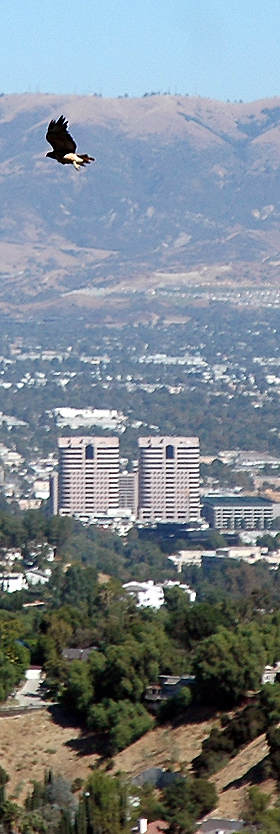 Topanga Canyon - Tuesday, October 4, 2005